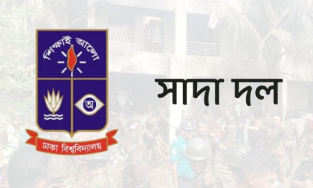 মাইলস্টোনে বিমান দুর্ঘটনায় হতাহতের ঘটনায় ঢাবি সাদা দলের শোক