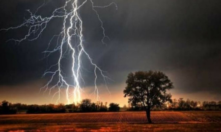 কচুর লতি তুলতে গিয়ে বজ্রপাতে মাদ্রাসা শিক্ষার্থীর মৃত্যু 