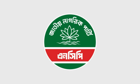 ফ্রান্সসহ ৩ দেশে কমিটি দিল এনসিপি