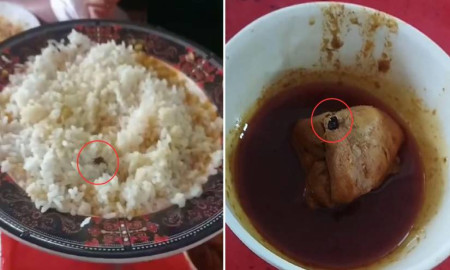 পবিপ্রবির হলে খাবারে মরা মাছি, ডাইনিং বয়কট শিক্ষার্থীদের