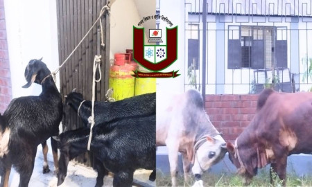 পাবিপ্রবিতে ফিস্টের টিকিট নিয়ে অব্যবস্থাপনা, নেওয়া হয়েছে ‘জুলাইযোদ্ধা’ পরিচয়েও