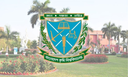 বাকৃবিতে গণ-অভ্যুত্থানবিরোধী ৫৭ শিক্ষকসহ ১৩৩ জনের বিরুদ্ধে শাস্তিমূলক ব্যবস্থা