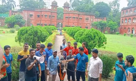 ‘স্বৈরাচার পলায়ন দিবস’ উপলক্ষে ঢাবির হলে হলে হাম্বাভোজ