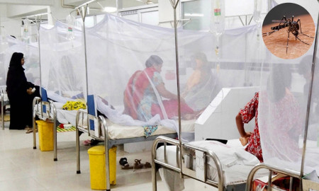 ডেঙ্গুতে আরও ৩ জনের মৃত্যু, হাসপাতালে ভর্তি ৪২৮