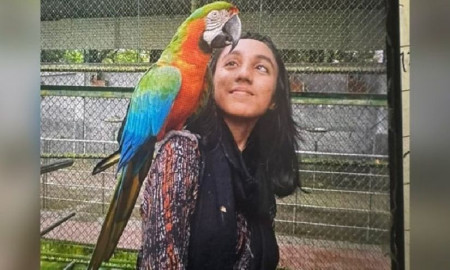 আমি যেন বহিরাগত—কেউই আমাকে চায় না, আমার বিশেষ গুণ নেই, নেই তীক্ষ্ণ বুদ্ধি, প্রতিভা...