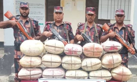 কুড়িগ্রাম সীমান্তে বিজিবির অভিযানে দুই মণ গাঁজা জব্দ