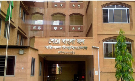 বৈষম্যবিরোধী নেতাকে রড দিয়ে পেটানোর চেষ্টা ছাত্রদল কর্মীর