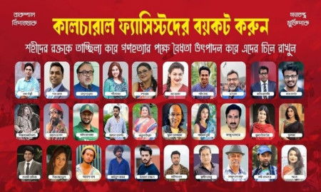 ঢাবিতে ‌‘কালচারাল ফ্যাস্টিদের’ ছবিতে জুতা নিক্ষেপ, কারা আছেন এই তালিকায়?