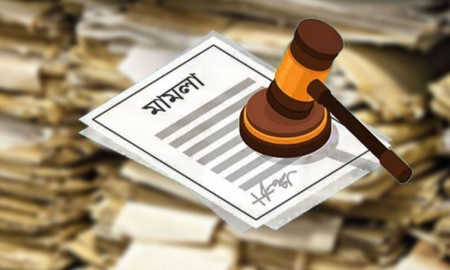 শেখ হাসিনার ভাতিজাসহ ২৮ জনের নামে এনসিপি নেতার মামলা