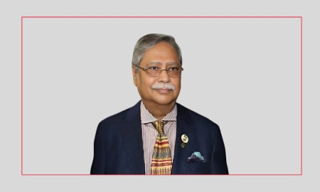 নেই পররাষ্ট্র মন্ত্রণালয়ের নির্দেশনা, যে নীতিতে সরল রাষ্ট্রপতির ছবি?