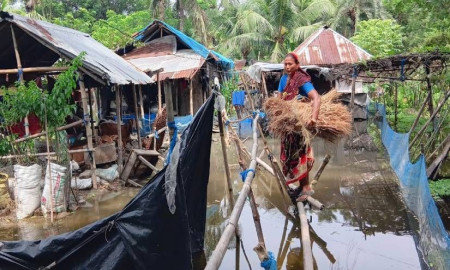 ভবদহে চার দশকের জলাবদ্ধতা: শত শত কোটি টাকা ব্যয়েও মুক্তি নেই