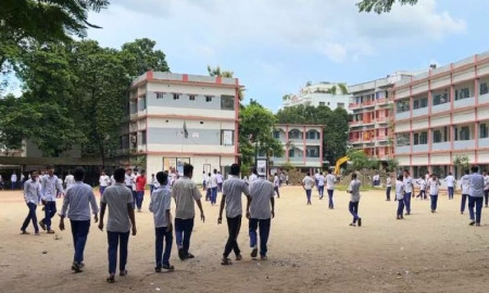 ক্লাস চলাকালে ভিমরুলের কামড়ে শেরপুরে ১৬ শিক্ষার্থী হাসপাতালে