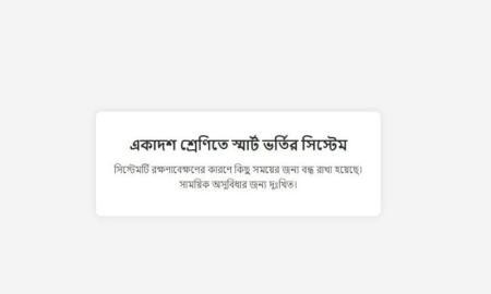 একাদশের ফল প্রকাশের পর ওয়েবসাইট ডাউন, যা বলছে বোর্ড