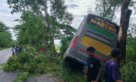 ৩৫ যাত্রী নিয়ে ঢাকাগামী বাস খাদে
