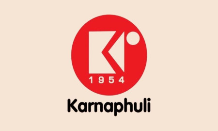 কর্ণফুলী গ্রুপ নিয়োগ দেবে মার্কেটিং অফিসার, বয়স ২৫ হলেই সুযোগ আবেদনের