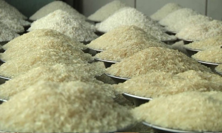 দেশে আবারও ভারতীয় চাল আমদানি, কমতে পারে দাম