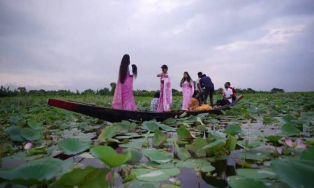 পদ্মফুলে সেজেছে বলাকইড় বিল, সৌন্দর্য দেখতে পর্যটকের ভিড়