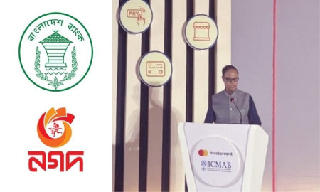 নগদকে বেসরকারিকরণের সিদ্ধান্ত নেওয়া হয়েছে: গভর্নর