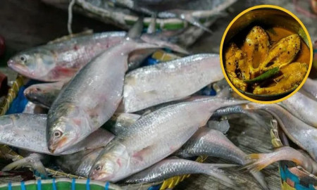 রপ্তানি না হলেও ভারতের চেয়ে বাংলাদেশে ইলিশ নাগালের বাইরে, দাম কি কমবে?