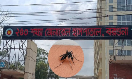 বরগুনায় ফের বাড়ছে ডেঙ্গুতে আক্রান্তের সংখ্যা, আইসিইউ চালু না হওয়ায় ভোগান্তি