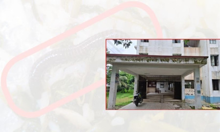 প্রভোস্ট ছাড়াই চলছে বেরোবির হল, ডাইনিংয়ের খাবারে ‘অহরহ’ মিলছে পোকা