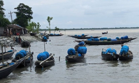 দস্যু আতঙ্ক ও ঋণের চাপ নিয়ে সুন্দরবনে ফিরছেন জেলেরা