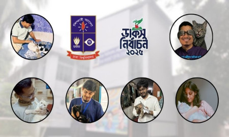 বিড়ালপ্রেমীদের মন জয়ে ডাকসু প্রার্থীদের ‘বিড়াল প্রযোজনা’