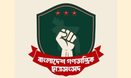 গণহারে ‘বাম সংগঠনে শিবির ঢুকে গেছে’ বলা ভিত্তিহীন: গণতান্ত্রিক ছাত্রজোট