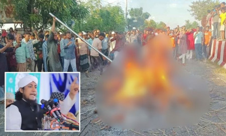 নুরাল পাগলা ইস্যুতে যা বললেন তাহেরী