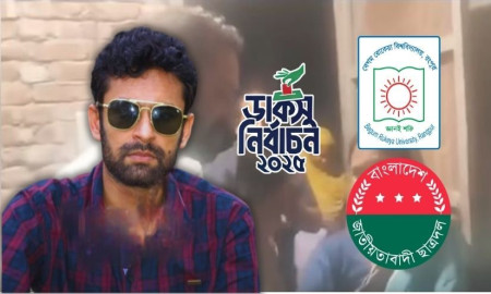 এবার ডাকসুর ভোট চাইতে ঢাবি শিক্ষার্থীর নানির বাড়িতে বেরোবি ছাত্রদলের আহ্বায়ক