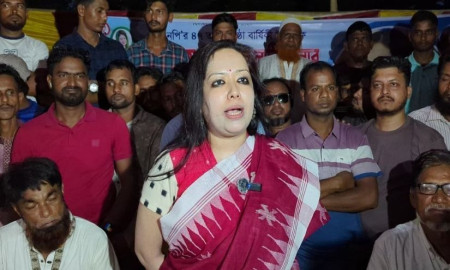 ১৫ বছর ভোটের কবর রচনা করা হয়েছিল: রুমিন ফারহানা