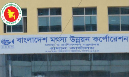মৎস্য উন্নয়ন করপোরেশনে চাকরি, পদ ৮৪, আবেদন এইচএসসি পাসেও