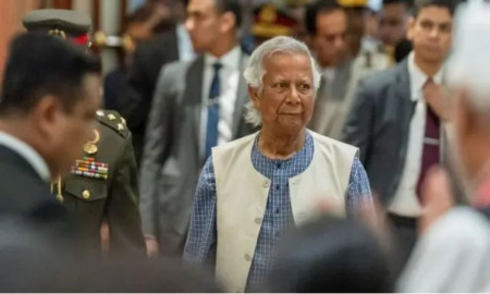 সাংবিধানিক আদেশ জারি করতে পারে অন্তর্বর্তীকালীন সরকার