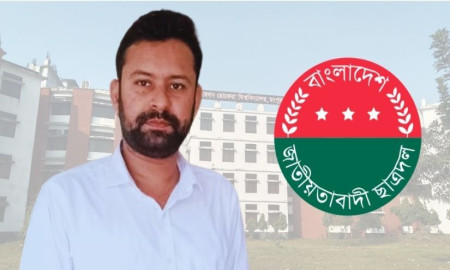 বিশ্ববিদ্যালয়ে ছাত্রদল, বাইরে স্বেচ্ছাসেবক দল