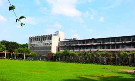 বাকৃবিতে গবেষণা প্রকল্পের উন্নত জাতের ১৪টি ভেড়া চুরি