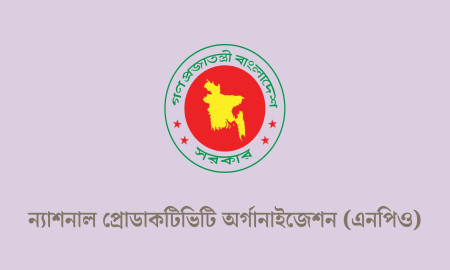 ন্যাশনাল প্রোডাকটিভিটি অর্গানাইজেশনে চাকরি, পদ ৩৬, আবেদন এইচএসসি-এসএসসি পাসেও