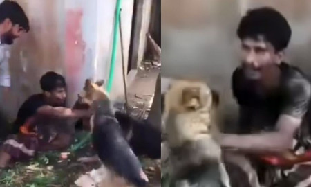 চুরির অভিযোগে যুবকের ওপর কুকুর লেলিয়ে নির্যাতন, ভিডিও ভাইরাল