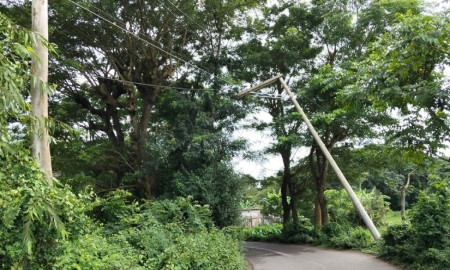 আনোয়ারায় স্কুল গেইটে সড়কে হেলে পড়েছে বৈদ্যুতিক খুঁটি, দুর্ঘটনার শঙ্কা