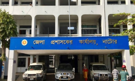 নাটোর জেলা প্রশাসকের কার্যালয়ে বিভিন্ন পদে চাকরি, আবেদন অনলাইনে