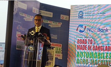 রাষ্ট্রীয় সক্ষমতা বৃদ্ধিতে একসঙ্গে কাজ করতে হবে: বাণিজ্য উপদেষ্টা