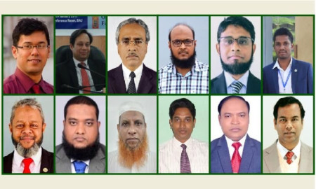 বিশ্বসেরা ২ শতাংশ গবেষকের তালিকায় বাকৃবির ১২ গবেষক