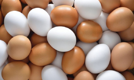 প্রতিবাদ জানাতে ডিম ছোড়া হয় কেন