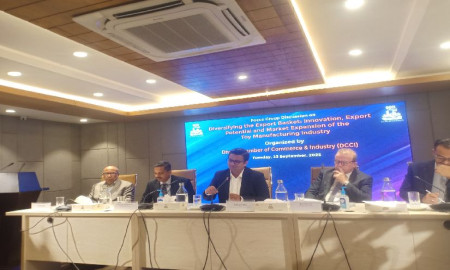 খেলনা শিল্পে রপ্তানি বাড়াতে আন্তর্জাতিক মানের ল্যাব ও শুল্ক সংস্কারের দাবি