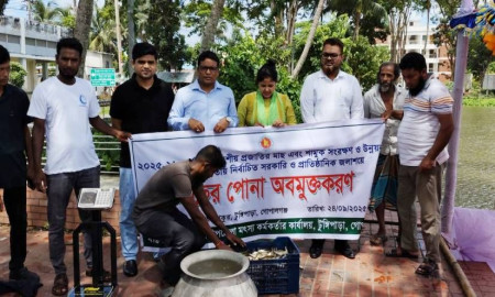 গোপালগঞ্জে সরকারি ও উন্মুক্ত জলাশয়ে পোনামাছ অবমুক্ত