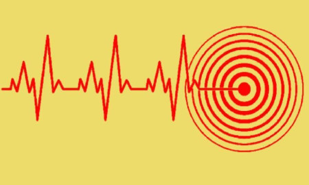 এবার শক্তিশালী ভূমিকম্পে কেঁপে উঠল পাকিস্তান