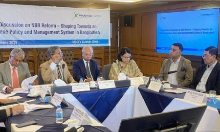 ‘পরামর্শক কমিটির সুপারিশ অনুসারে এনবিআর ভাগ হয়নি’