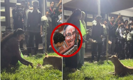 শেখ হাসিনার জন্মদিনে টিএসসিতে কেক কেটে খাওয়ানো হলো কুকুরকে