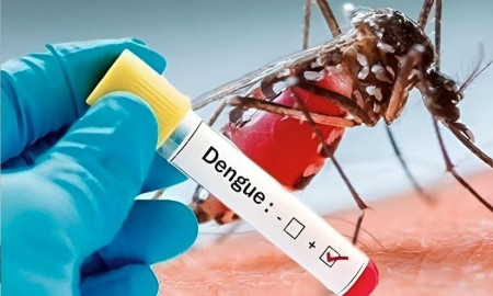 দেশে ডেঙ্গুতে আরও ৪ জনের মৃত্যু