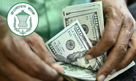 ২৮ দিনে রেমিট্যান্স এলো ৩০ হাজার কোটি টাকা