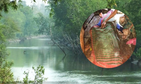 কুমিরের সঙ্গে ১৫ মিনিট লড়াই, পেরে উঠলেন না সুব্রত!